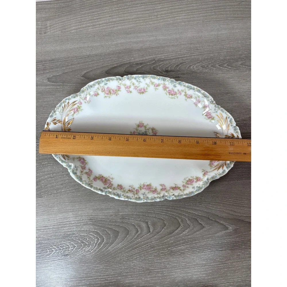 Haviland Limoges France Pink Rose Gold Leaf Oval Serving Platter Gimbel Bros